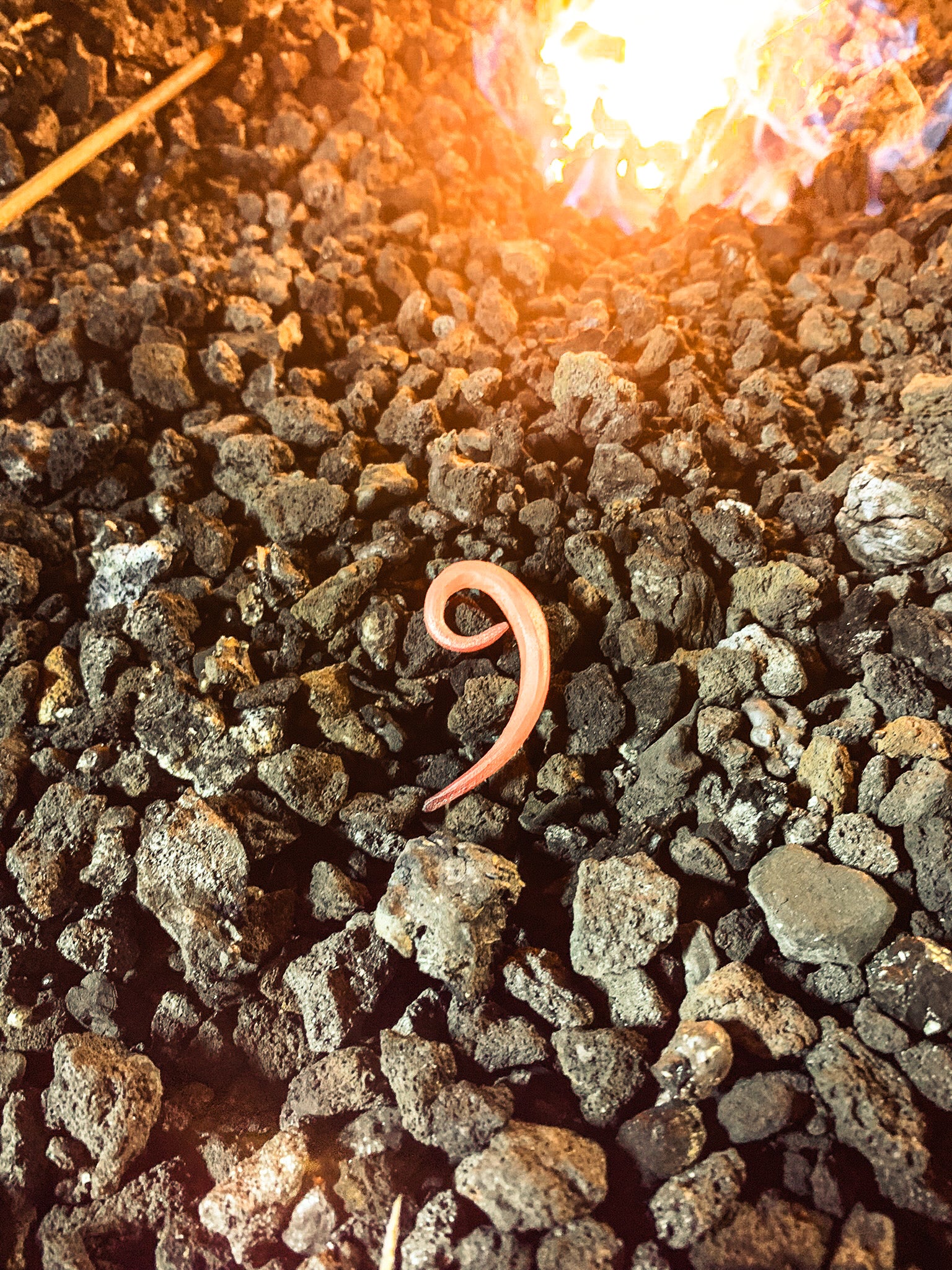 The "Nine" Limited Edition Pendant